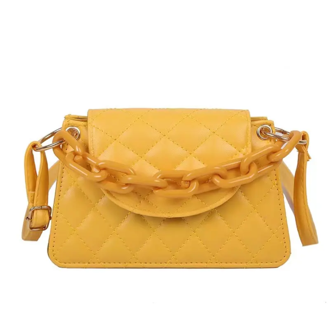 Small Trendy Handbag