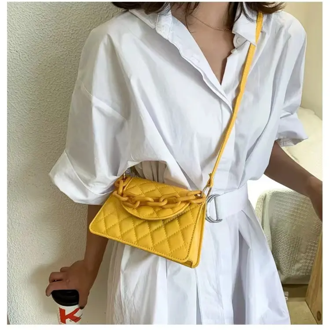 Small Trendy Handbag